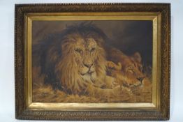 Sybal Parker 'Lions' Oil on canvas Signed lower left 48cm x 69cm