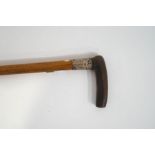 A horn handled walking stick with silver collar,