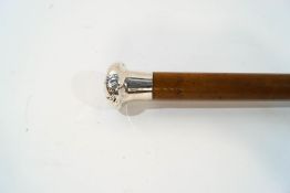 A malacca cane with silver knop,