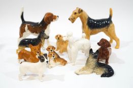 A collection of Beswick figures of dogs, including terriers, German Shepherd, Poodle, Corgi,