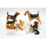 A collection of Beswick figures of dogs, including terriers, German Shepherd, Poodle, Corgi,