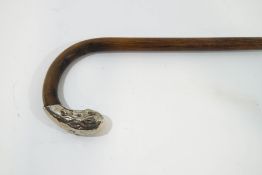 A walking stick with nickel silver extended tip