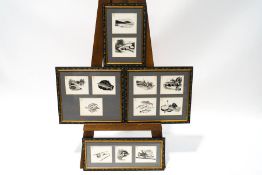 A set of twelve pen and ink angling illustrations, framed into four, each 12cm x 14.