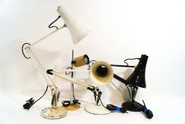 Three anglepoise lamps and a further desk lamp