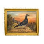 Andrew Beer (1862 - 1954) Portrait of a racing pigeon - "Tons of Money" Oil on canvas Signed lower