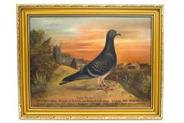 Andrew Beer (1862 - 1954) Portrait of a racing pigeon - "Tons of Money" Oil on canvas Signed lower