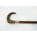 A slim bamboo walking stick with horn handle and silver collar,