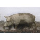 A reconsitituted stone garden pig ornament,