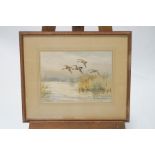 Roland Green Ducks in flight Watercolour Signed lower right 27cm x 36cm