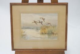 Roland Green Ducks in flight Watercolour Signed lower right 27cm x 36cm