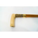A walking stick with ivory handle and gold coloured collar