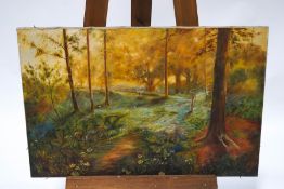 D A Haggis, Woodland scene, Oil on canvas, unframed, Signed lower right and dated 1921,
