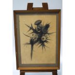 Victor Bramley (1933-2014), Thistle, Charcoal, Signed and titled verso, 63cm x 46.