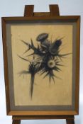 Victor Bramley (1933-2014), Thistle, Charcoal, Signed and titled verso, 63cm x 46.