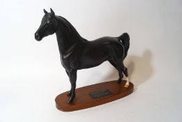 A Beswick Morgan Horse model, 'Tarryall Maestro', Multiple Grand Champion Stallion,