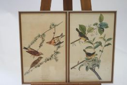 After R Howell & Sons, American Redstart, Yellow Bird or American Goldfinch, Painted Bunting,