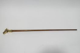 An unusual walking stick,