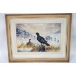 Richard Harrison (b 1954), Capercaillie, Watercolour, Signed lower right, 35.5cm x 53.