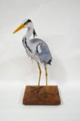 Ian Chappell (Contemporary), a carved wooden figure of a Heron with glass eyes, upon a wood base,