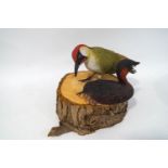 Ian Chappell (Contemporary), a carved wood Green Woodpecker on a tree trunk base, 23cm high,