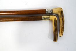Two malacca walking sticks with silver collars (hallmarks rubbed) and horn handles