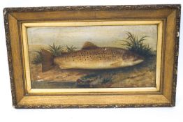 English School, 19th century Brown Trout, Oil on canvas,