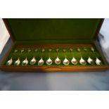 A set of twelve silver Royal Horticultural Society Flower spoons, by John Pinches, Sheffield 1975,