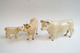 Three Beswick Charolais cattle, Bull No 2463A, Cow No 3075A and Calf No 1827B,