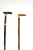 A pair of walking sticks with horn handles,