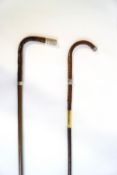 A pair of slim walking sticks with silver bands and tips,