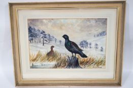 Richard Harrison (b 1954), Capercaillie, Watercolour, Signed lower right, 35.5cm x 53.