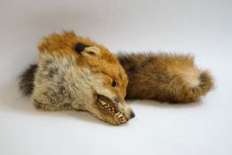A fox's head and brush