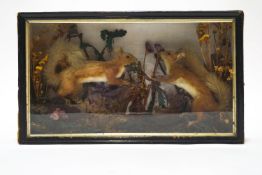 Taxidermy : A pair of red squirrels within a naturalistic setting of oak leaves and dried flowers,