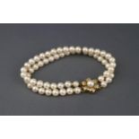 A cultured pearl two row bracelet, the uniform beads approx. 5.75mm - 6.