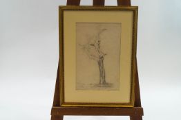 Cornelius Varley (1781-1873, Study of a tree in Hyde Park, pencil, signed and inscribed lower left,