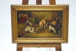 Style of George Armfield, Terriers ratting, Oil on canvas, with initials lower right, 30.5cm x 50.