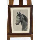 20th century school, Study of a horses head, monochrome bodycolour, 34.