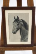 20th century school, Study of a horses head, monochrome bodycolour, 34.