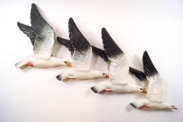 A set of four Beswick seagull wall plaques of graduated size