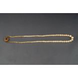 A cultured pearl single row necklace, the beads graduated approx. 7.0mm - 3.