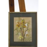 Jane Horton, Orchids, Bodycolour, Signed and dated, 1/75, lower left,