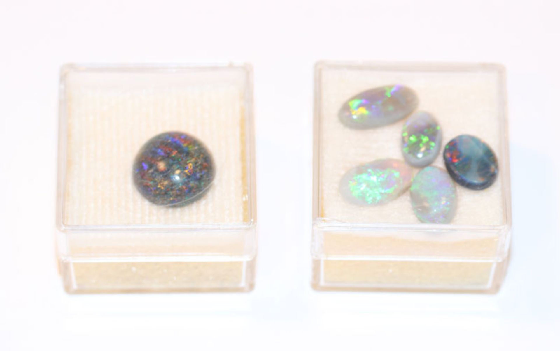 Runder Opal-Cabochon und 5 Opal-Cabochons, zus. 6,4 ct