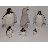 Six Plichta penguins – a/f.