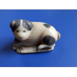 A 19thC vegetable ivory netsuke of a piebald puppy, 1.75” across – damaged.