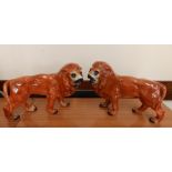 A pair of early 20thC Staffordshire pottery lions.
