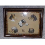 A pair of watercolours with bodycolour each depicting several studies of dogs' heads, unsigned , 9.