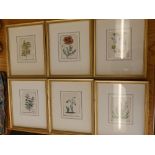 Six small botanical colour prints.