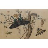 A Chinese watercolour on ricepaper – Butterflies with cricket.