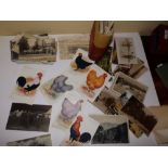Six 'Prize Poultry' postcards together with a collection of approximately 100 other loose