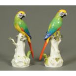 A pair of Continental porcelain parrot on branch figures. Height 33 cm.